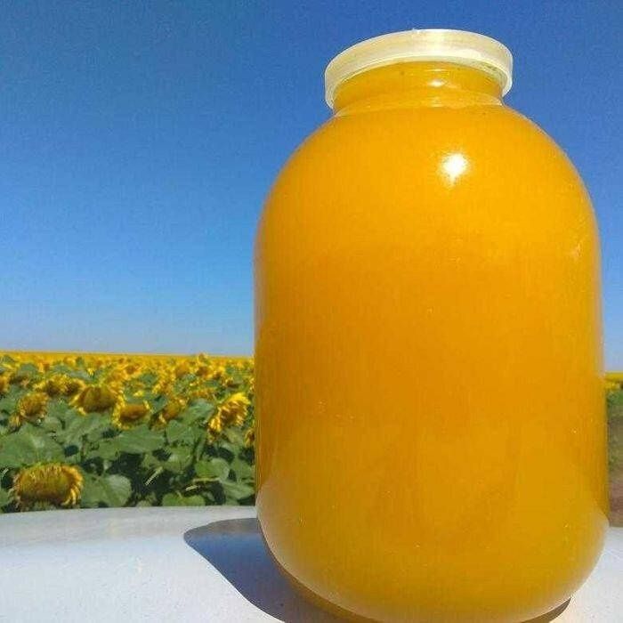 Мед соняшниковий