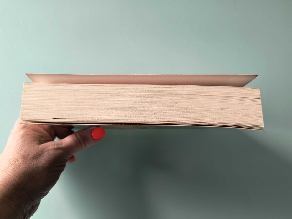 Makdonaldyzacja społeczeństwa - George Ritzer