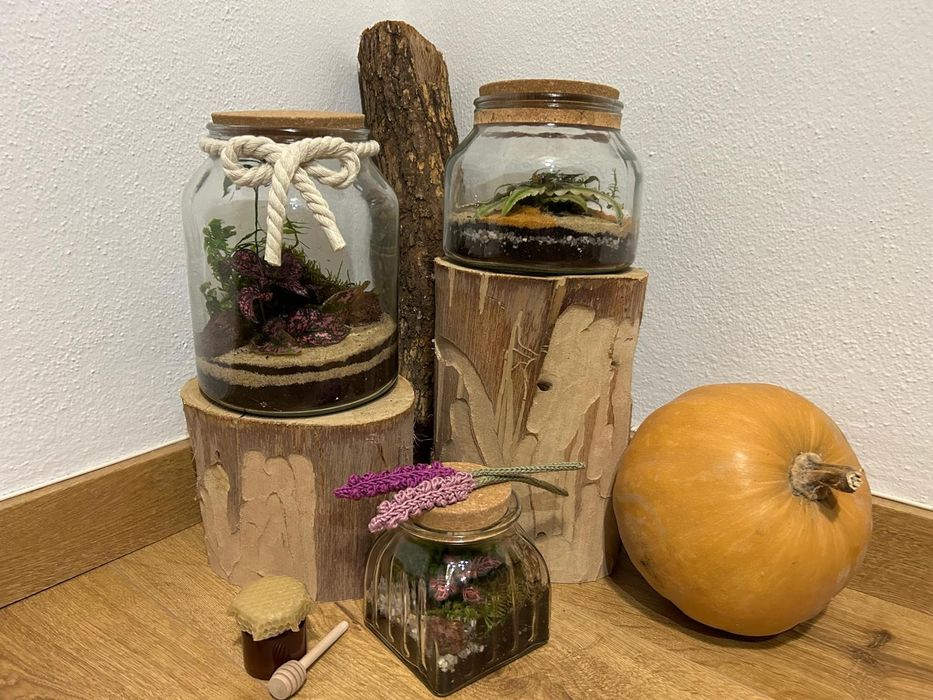 Terrários - vários tamanhos