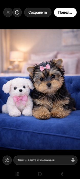 Йоркширский терьер щенки