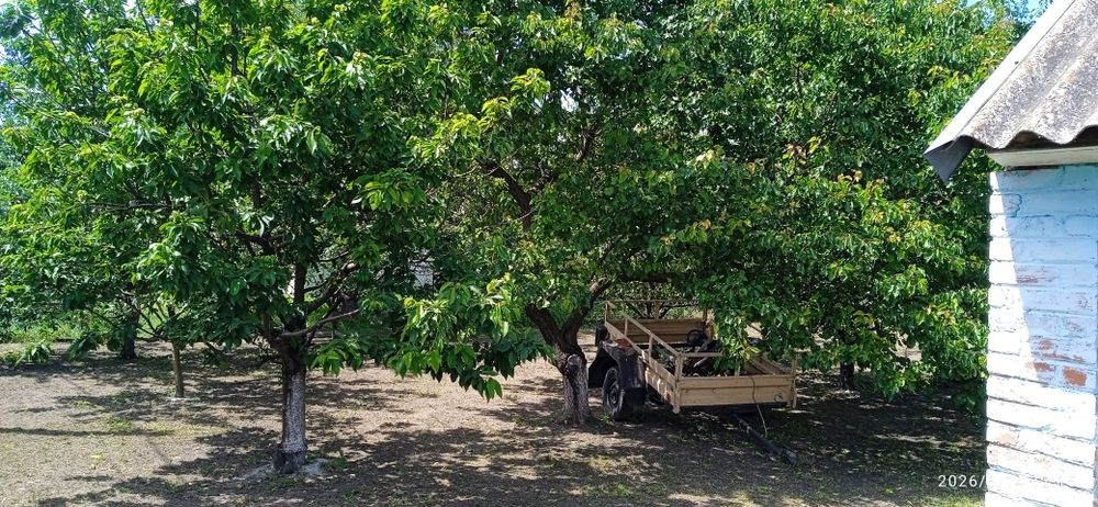 Продаж будинку в селі