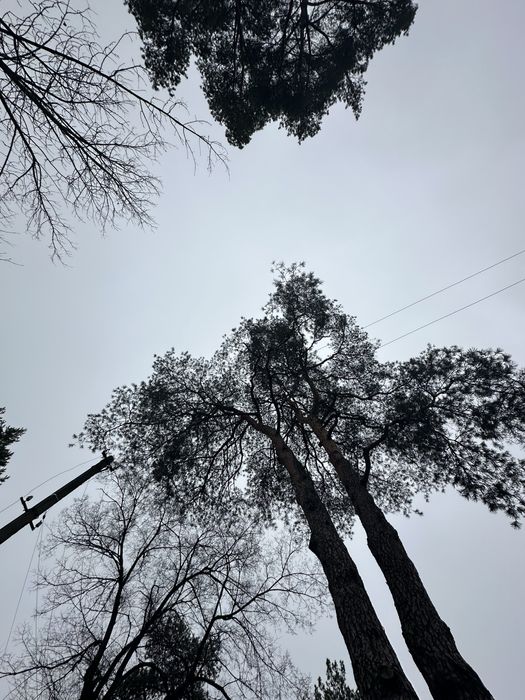 Продаж Бази Відпочинку .  Вишгород село Новосілки ТП Світло 160 кіловат . ГАЗ , Річка водойма 5 хв