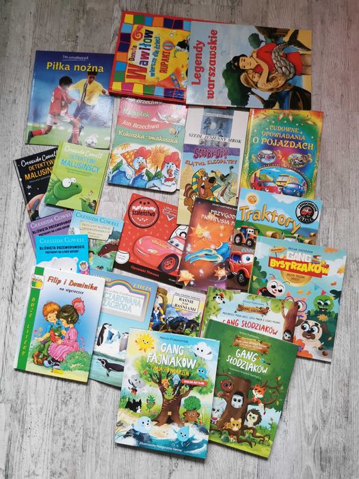 Duży zestaw 23 dwadzieścia trzy książek książki dla chłopca dziewczynki
