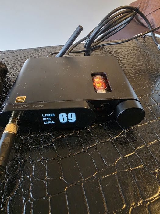 Aune flamingo dac amp
