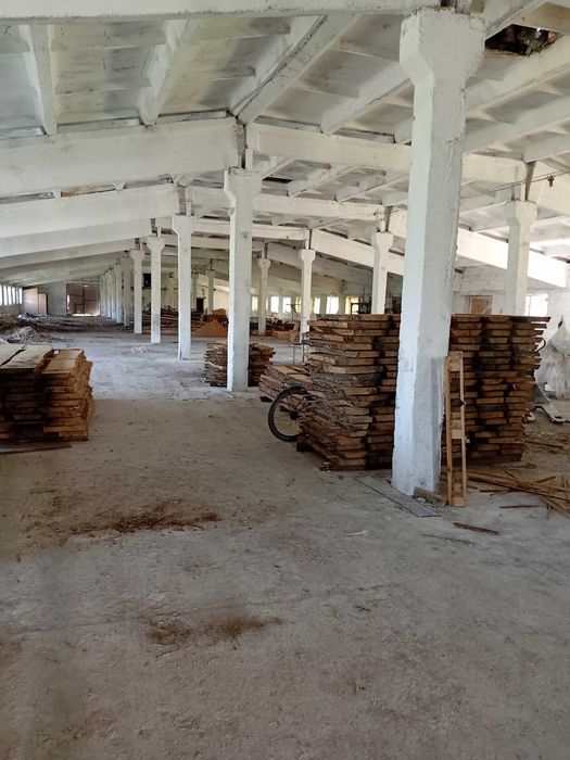Оренда приміщення, продаж, розстрочка, сушка деревини. 1800кв.