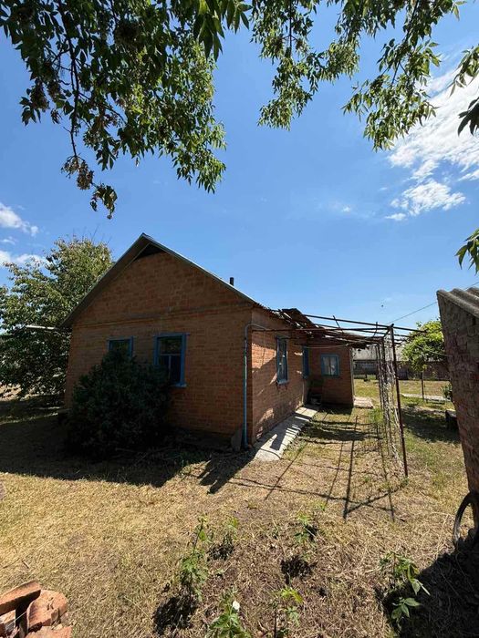 Будинок серед соснового лісу за 12 км від Полтави