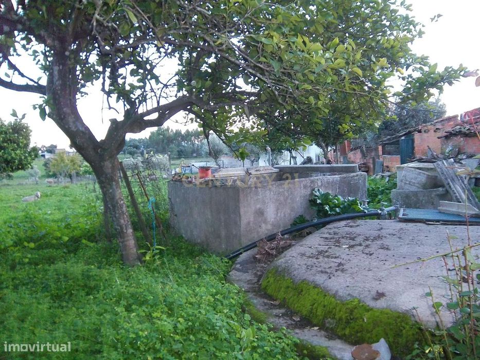 Moradia P/Recuperar Amarelos, Sarnadas de Ródão