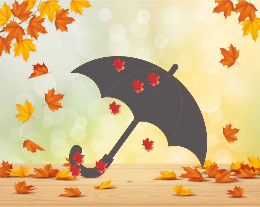 Услуги Adobe Illustrator,Adobe Photoshop,CorelDRAW