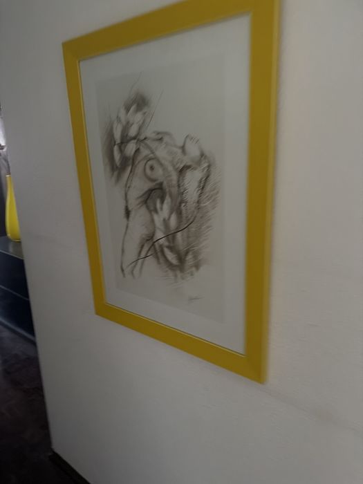 2 quadros  largura 59cm altura 79cm