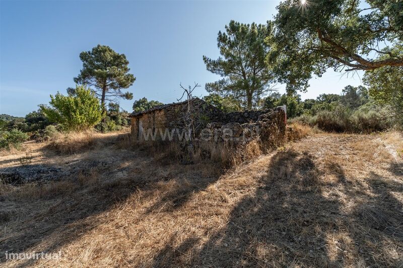 Terreno Rústico / Fundão, Pêro Viseu