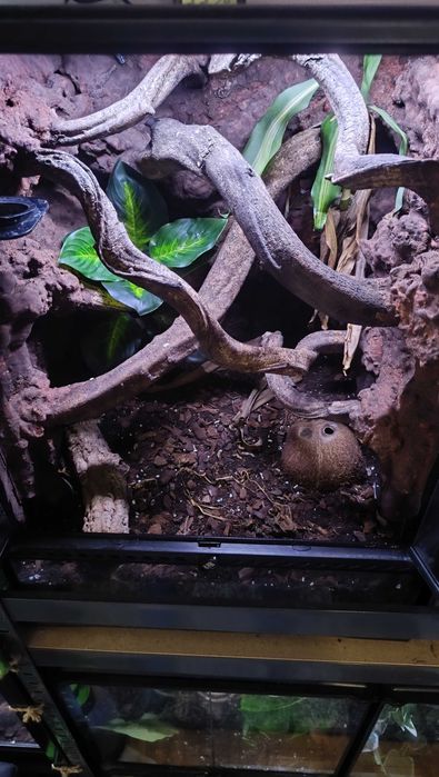 Terrarium 45x45x60