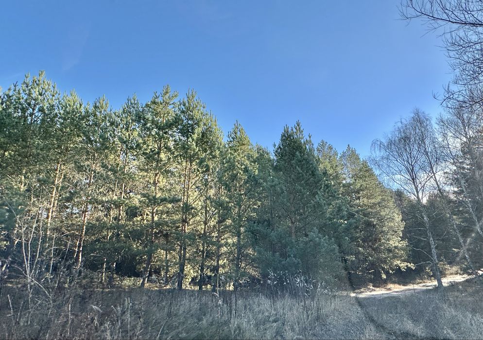 Земельна ділянка 8 Га! Ясногородка!