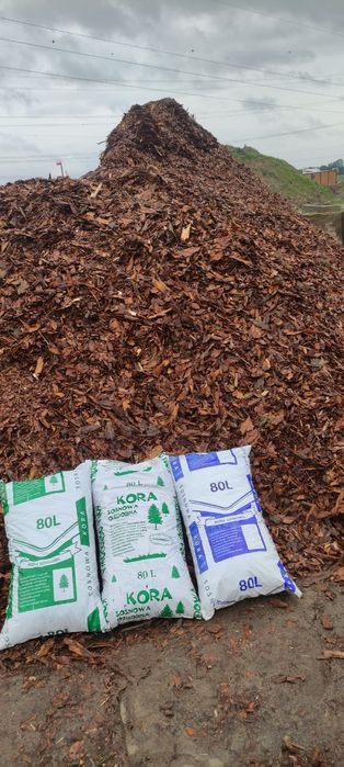 Kora Sosnowa Wałbrzych