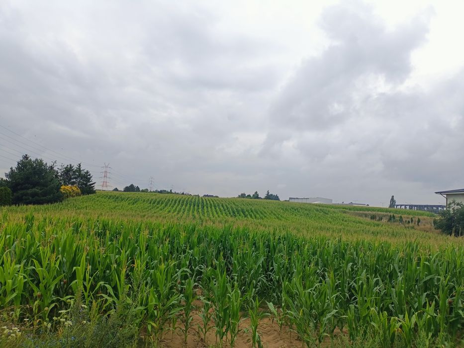 Działka rolno-budowlana - Widok 3
