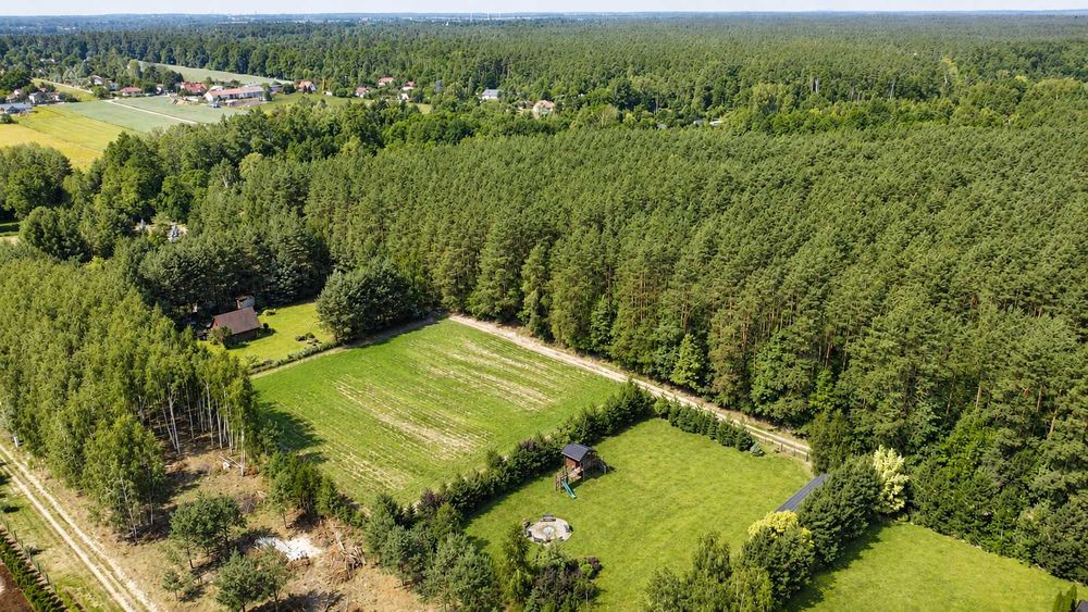 Działka budowlana 3000 m² przy lesie - Anielin Swędowski, gm. Stryków