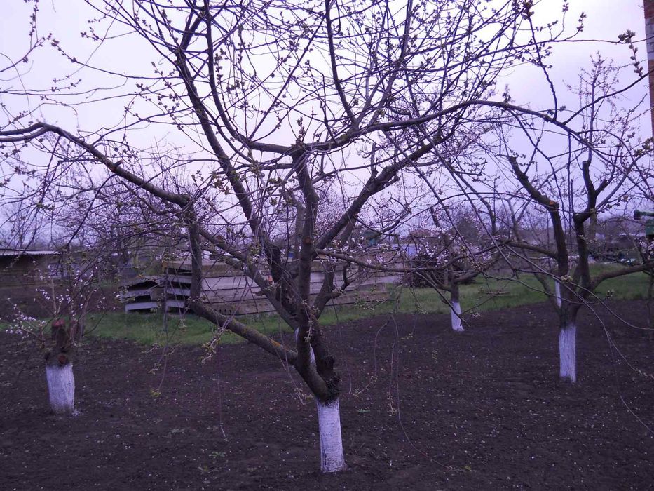 Дом Миколаївська область, Баштанський район, с. Лоцкіно 160 кВ.м.