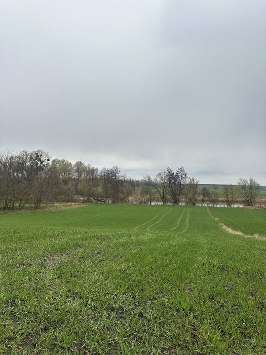 Продаж земельної ділянки з виходом до річки Рось