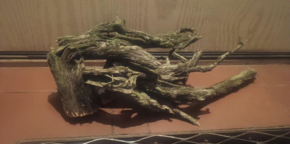 Korzeń dekoracja akwarystyka/terrarystyka