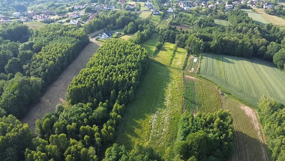 Sprzedam działki budowlane WZ Ropczyce - Granice piękne okolice!