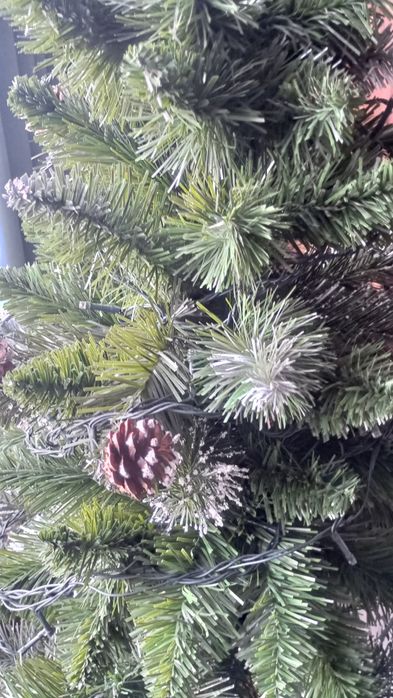Choinka na sosnowym pniu