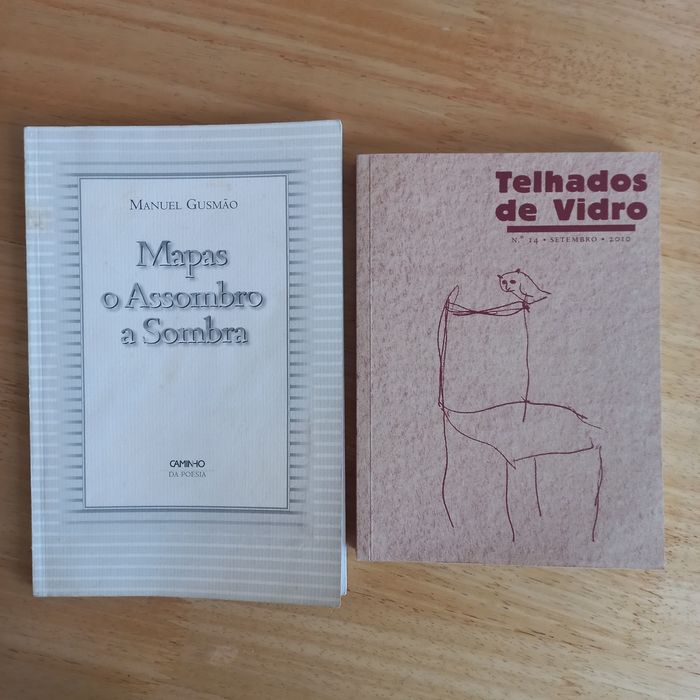 Manuel Gusmão Mapas o Assombro a Sombra/Telhados de Vidro 14 poesia