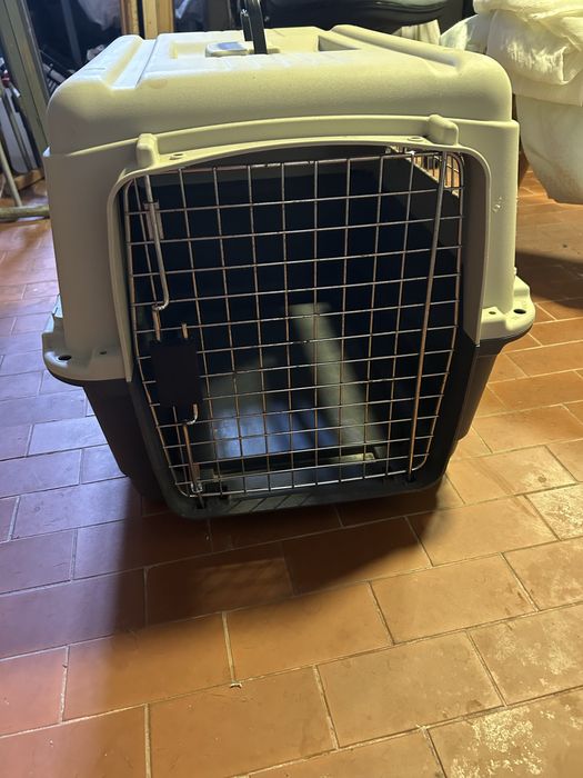 Tranportadora de animais