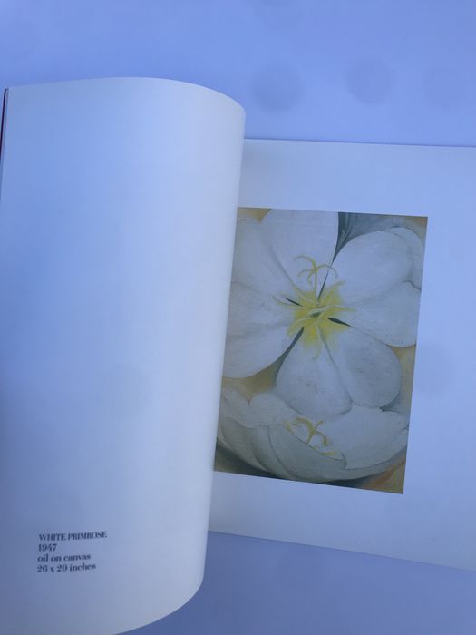 Livro sobre pintura de Georgia O’Keffe