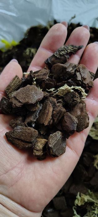 Продам б/в кору у гарному стані