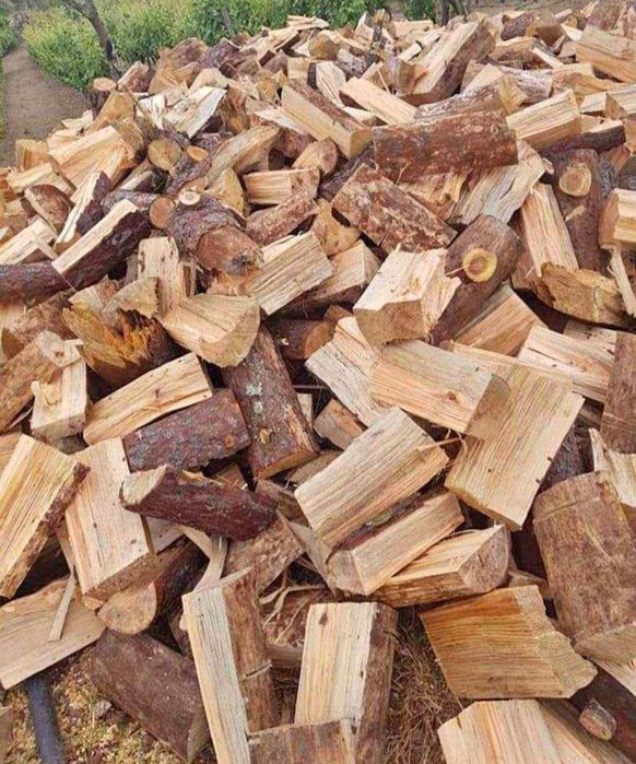 Lenha de pinho 35€ 1m³