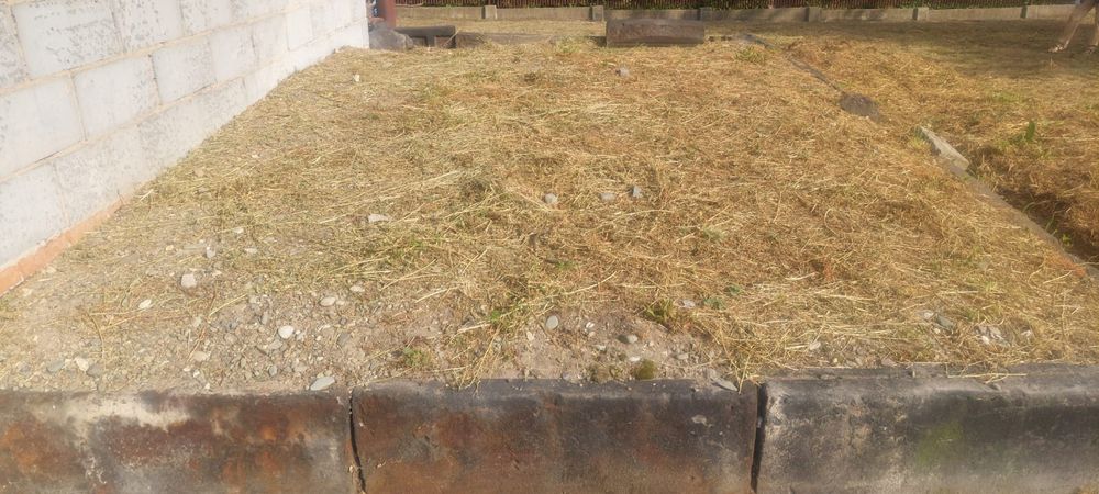 Oddam za darmo żwir 3 tony