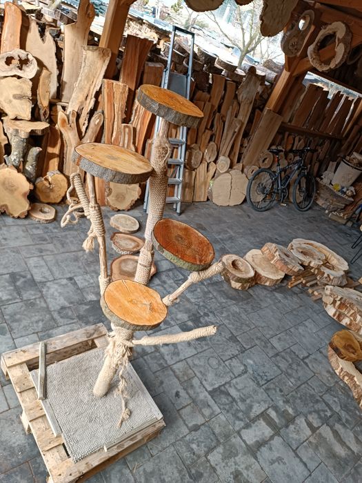 Naturalny drapak dla kota kotków z drewna kocie drzewo drewno kot koty