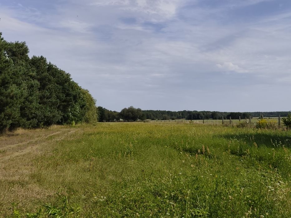 Bożnów działki z warunkami zabudowy 10 ar