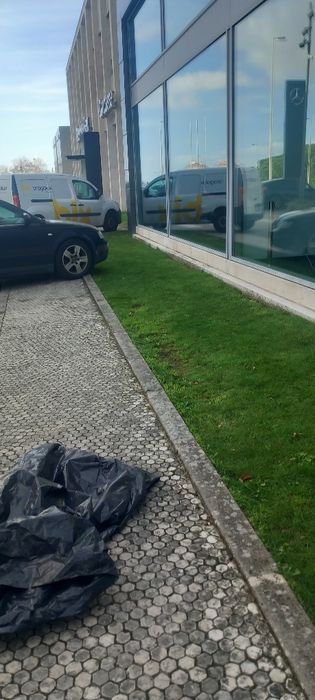 Limpeza de quintais e terrenos na zona de Lisboa