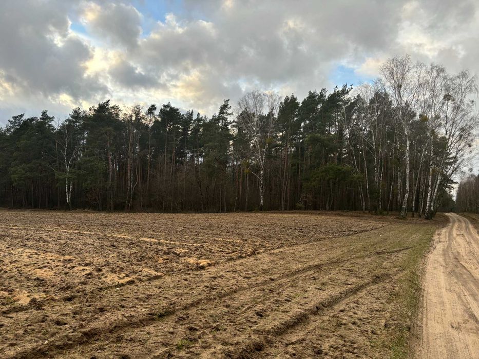 Działka leśna, inwestycyjna, las sosnowy 80 letni, 7,5 ha, 4 jeziora