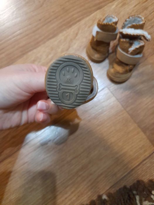 Зимові сапожки для собачки