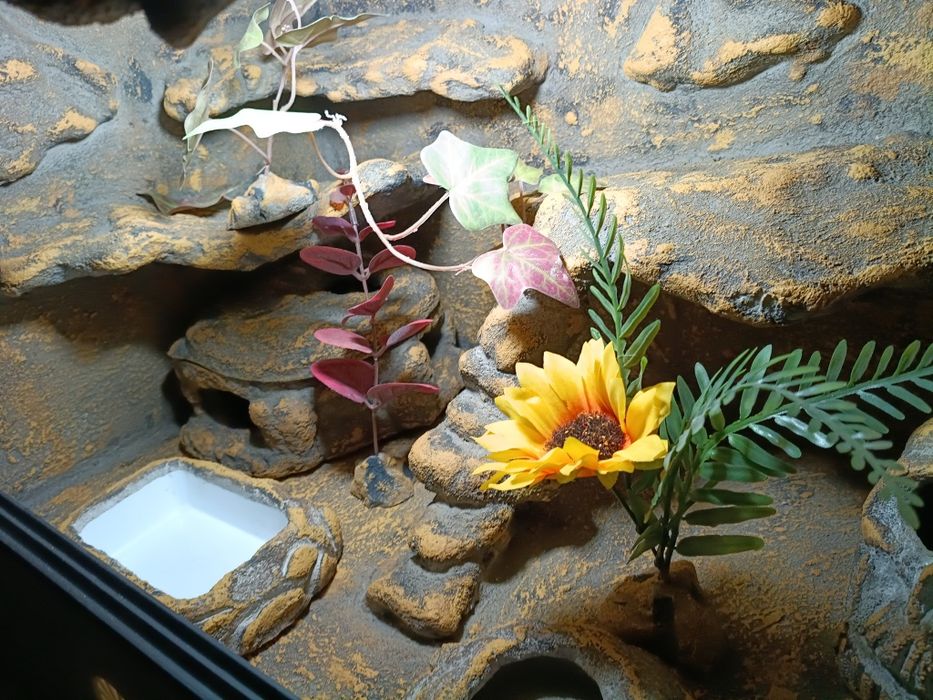 Terrarium z płyty meblowej