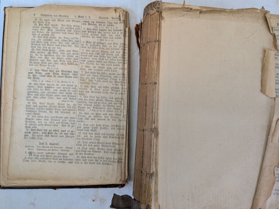 Antyczna Biblia niemiecka 1898 Martin Luther stara księga vintage