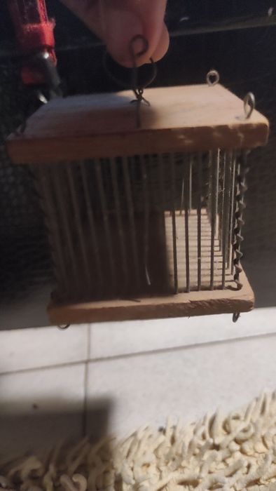 Gaiola de grilo antiga