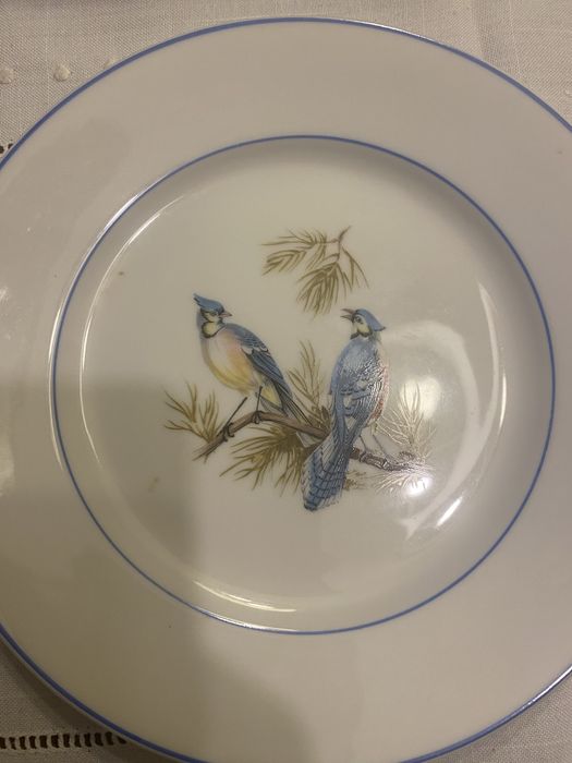 Coleçao 6 Pratos Passaros Vista Alegre