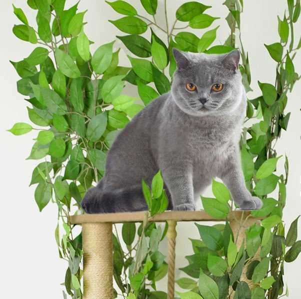 Drapak dla kota duży legowisko dla kotów symulacja drzewa liście XL