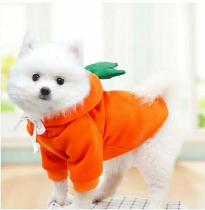Костюмы для собак и котов, одежда