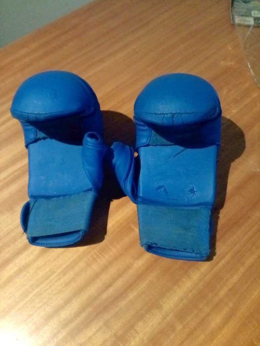 Luvas de karaté Adidas