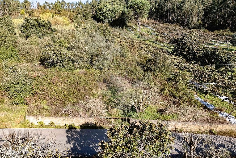Terreno  para venda