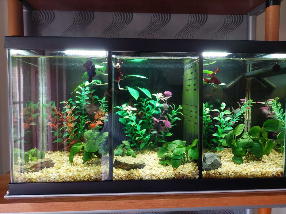 Vendo Aquário Aquarium Ciano 60 cm Led