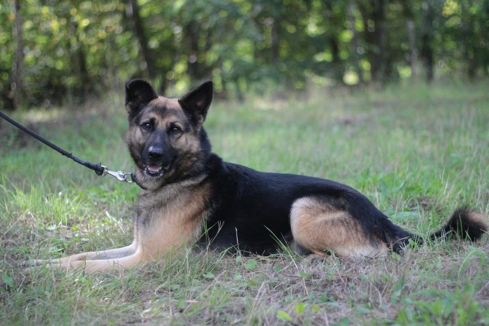 Maxym tak długo czeka, prosimy o dom