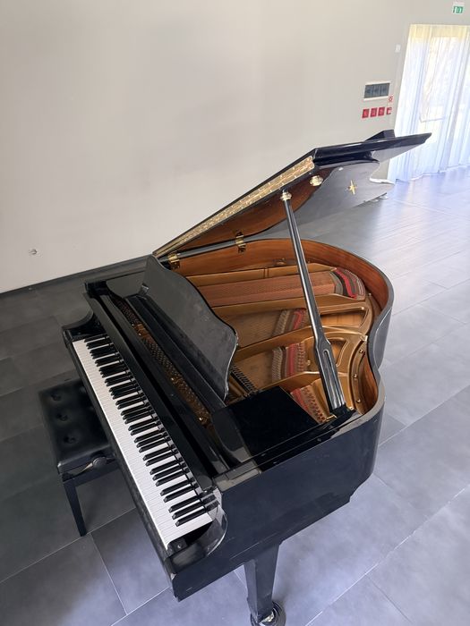 Piano 1/4 de cauda Milton