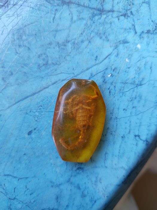 Скорпіон в бурштині