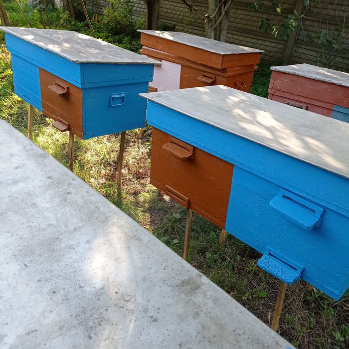 Вулики для бджіл б/ в нормальному стані