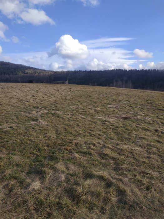 Продається земельної ділянки під забудову, с. Рибник, Східницьке ОТГ !