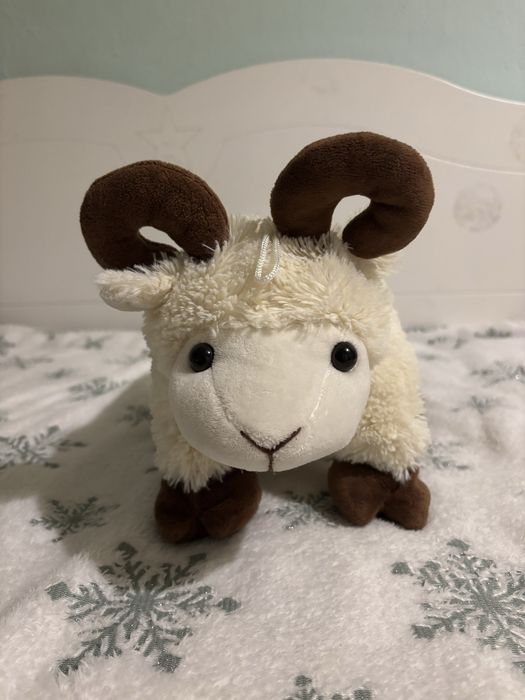 Baranek Owca Owieczka Zakopane